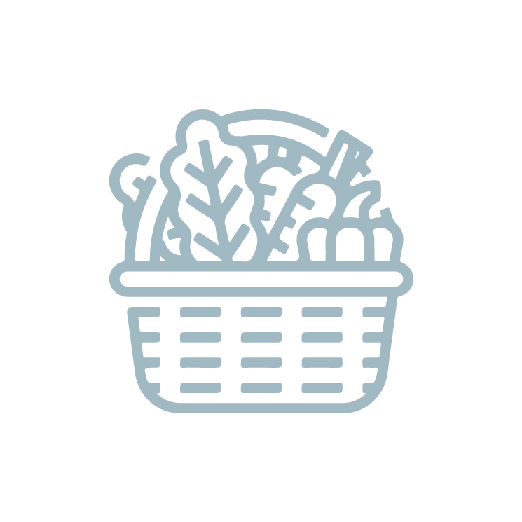 CS Icons Fruit & Veg Basket